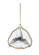Catch Cam Pike Net