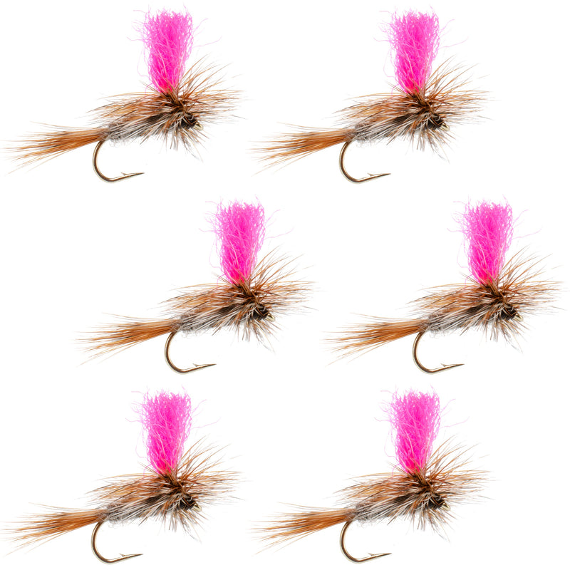 Pink Adams Hi-Viz Parachute Classic Dry Fly for trout, size 16, by The Fly Fishing Place, with a bright parachute and fine hook detail.