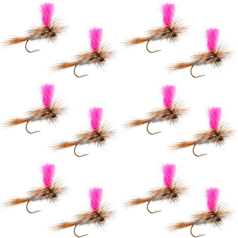 Set of 12 pink Adams Hi-Viz Parachute Classic Dry Flies for trout fishing, size 10 hooks, by The Fly Fishing Place.
