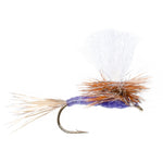 Purple Haze dry fly trout fishing flies by The Fly Fishing Place, size 12, with purple-hued wings and realistic fly pattern.