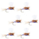 Parachute Purple Haze Dry Fly - 6 Flies Size 20