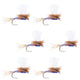 Parachute Purple Haze Dry Fly - 6 Flies Size 14
