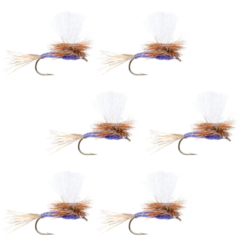 Set of six Purple Haze parachute dry flies for trout fishing, size 14, by The Fly Fishing Place, featuring purple and natural fly materials.