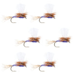 Set of six Purple Haze dry flies for trout fishing, size 12, from The Fly Fishing Place, featuring purple and gray coloration.
