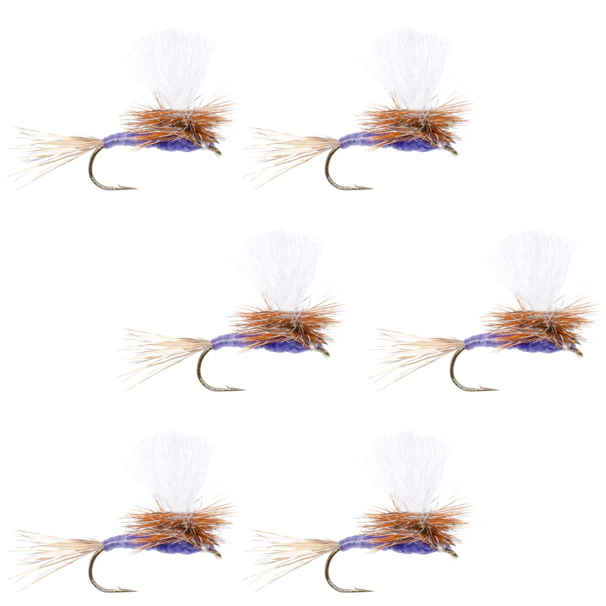 Set of six Purple Haze dry flies for trout fishing, size 12, from The Fly Fishing Place, featuring purple and gray coloration.