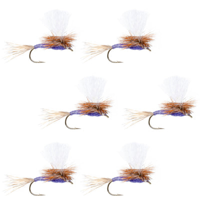 Set of six Purple Haze dry flies for trout fishing, size 12, from The Fly Fishing Place, featuring purple and gray coloration.