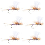 Set of six Purple Haze Parachute Super Flash dry flies for trout fishing, size 18, by The Fly Fishing Place.