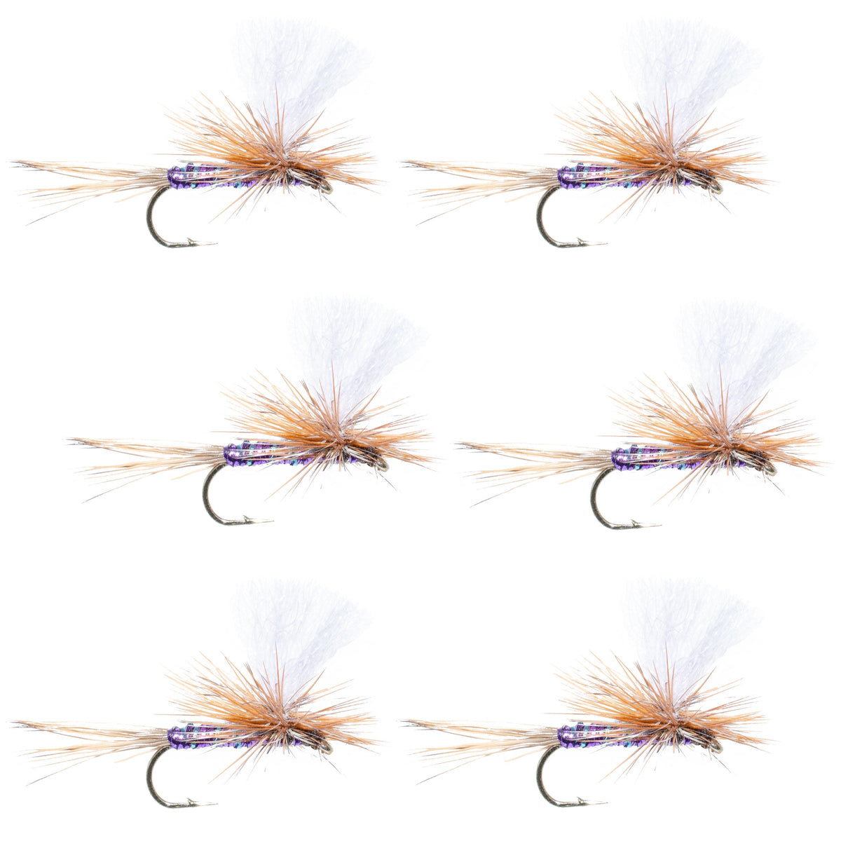 Set of six Purple Haze Parachute Super Flash dry flies for trout fishing, size 18, by The Fly Fishing Place.