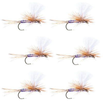 Set of six Purple Haze Parachute Super Flash dry flies for trout fishing, size 18, by The Fly Fishing Place.