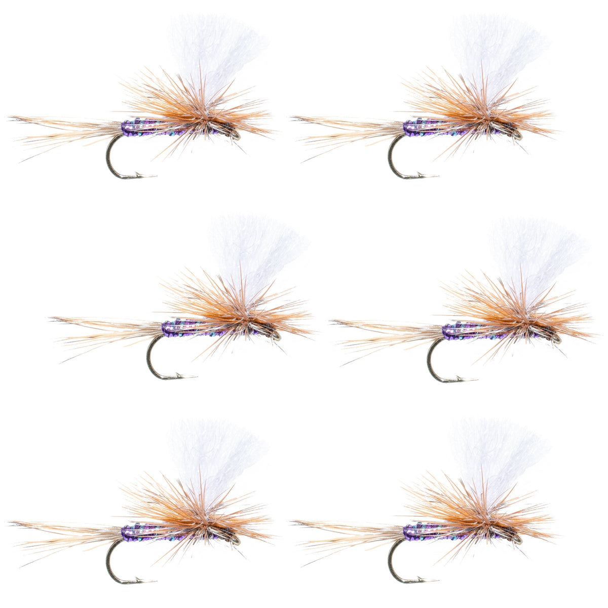 Set of 6 Parachute Super Flash Purple Haze dry flies for trout fishing, size 12, featuring vibrant purple and flash accents.