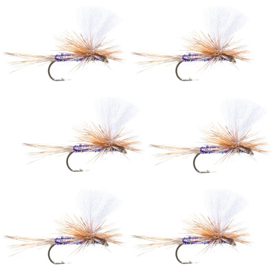 Set of 6 Parachute Super Flash Purple Haze dry flies for trout fishing, size 12, featuring vibrant purple and flash accents.