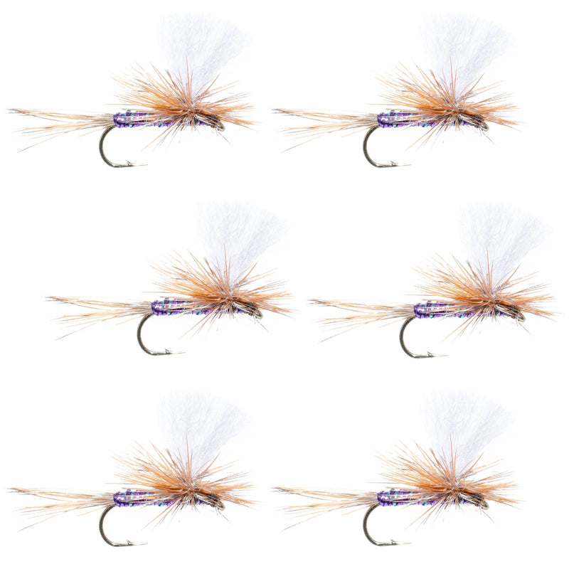Set of 6 Parachute Super Flash Purple Haze dry flies for trout fishing, size 12, featuring vibrant purple and flash accents.