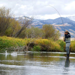 Six tungsten pheasant tail tactical nymph Euro jigs, size 14, trout wet flies with red and natural feather details.