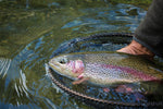 Barbless Gold Ribbed Hare's Ear Nymph trout wet flies on hooks, size 14, used for fly fishing, from The Fly Fishing Place.