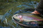 Three gold bead head Hare's Ear Nymph trout wet flies with ribbed bodies and hooks in size 16 for fly fishing.