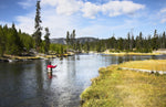 Kebari Assortment - 21 Tenkara Flies - 7 Paterns - Sizes 10, 12, 14, 16