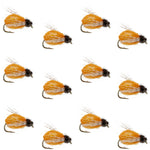 Set of 12 LaFontaine Amber Deep Sparkle Caddis Pupa flies, size 16, for fly fishing, featuring realistic caddis nymph design and shimmering details.