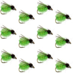 LaFontaine Bright Green Deep Sparkle Caddis Pupa - 1 Dozen Flies Hook Size 18