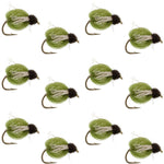 Set of 12 LaFontaine Olive Deep Sparkle Caddis Pupa flies, size 14, designed for fly fishing, featuring realistic caddis nymph details.