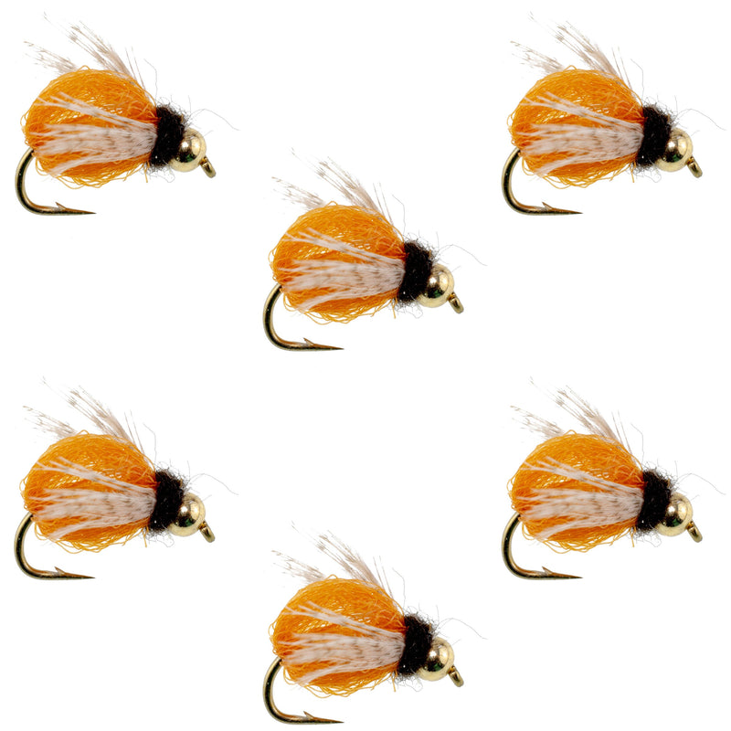Set of 6 Bead Head LaFontaine Amber Deep Sparkle Caddis Pupa flies for fly fishing, size 16, featuring realistic caddis nymph design.