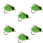 Bead Head LaFontaine Green Deep Sparkle Caddis Pupa - 6 Flies Size 12