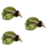 Set of three Bead Head LaFontaine Olive Deep Sparkle Caddis Pupa Nymph Flies with size 16 hooks for fly fishing.