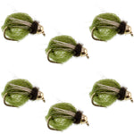 Set of six Bead Head LaFontaine Olive Deep Sparkle Caddis Pupa nymph flies with size 12 hooks for fly fishing.