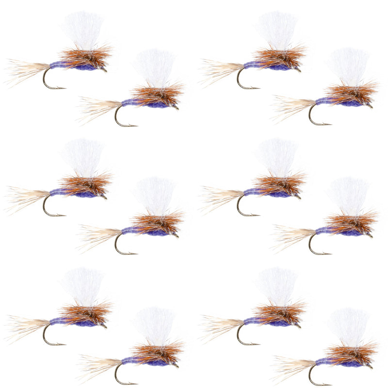 Set of 12 Purple Haze dry fly fishing flies by The Fly Fishing Place, size 12, designed for trout fishing.