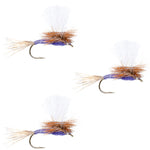 Three purple haze dry flies, size 12, trout fishing parachute flies from The Fly Fishing Place displayed on a fishing tackle box.
