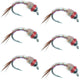 Bead Head Rainbow Warrior Nymph Fly Fishing Flies 6 Flies Hook Size 18