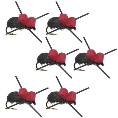 Set of six red and black foam beetle dry flies for trout fishing, size 14, from The Fly Fishing Place.