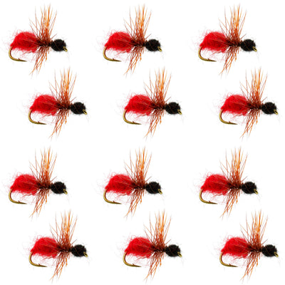 Set of 12 velvet cowkiller ant wasp trout dry flies with red, black fur, and hooks, size 12 for fly fishing.