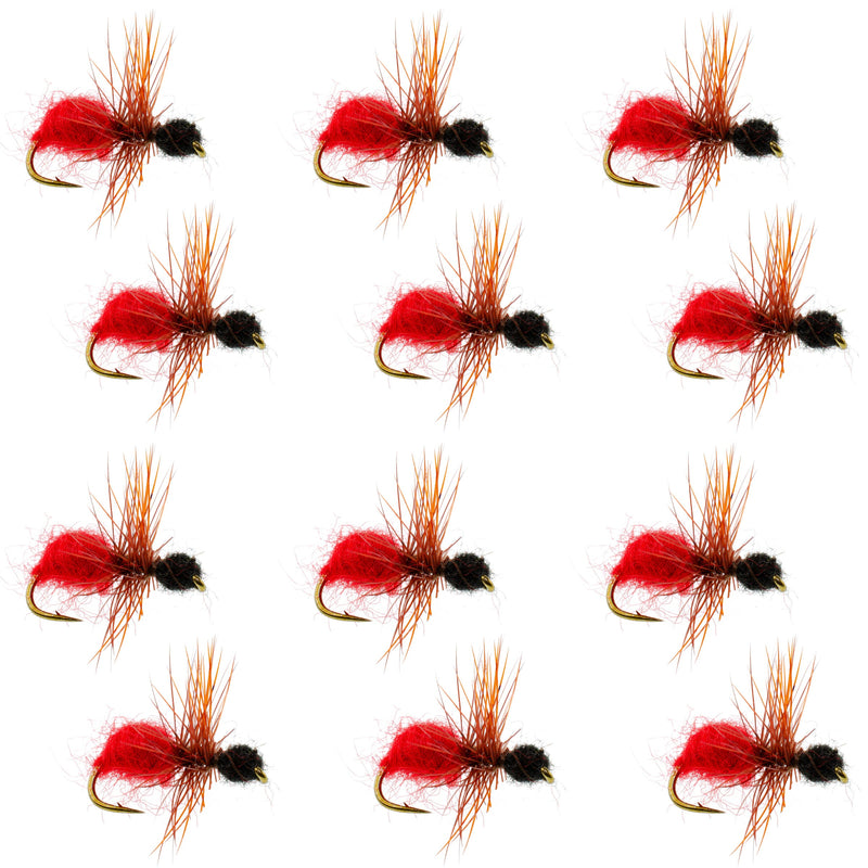 Set of 12 velvet cowkiller ant wasp trout dry flies with red, black fur, and hooks, size 12 for fly fishing.