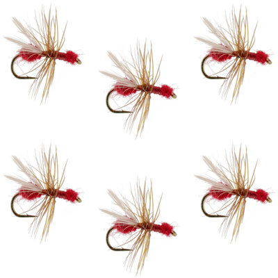 Red fur flying ant trout dry fly with white hackle, size 14, part of a set of six fishing flies for trout fishing.