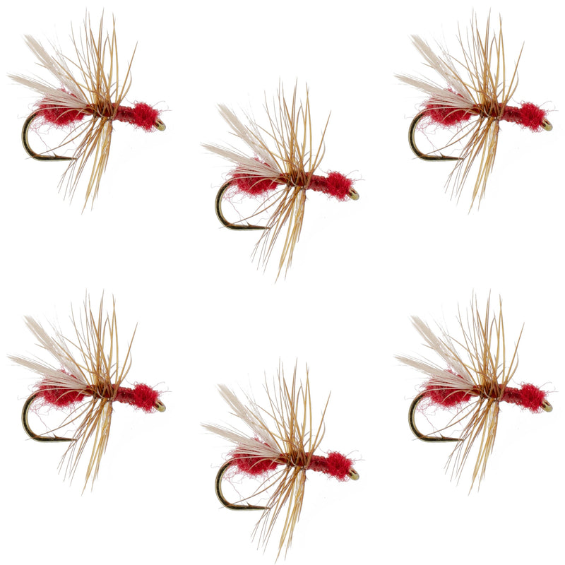 Red fur flying ant trout dry fly with white hackle, size 14, part of a set of six fishing flies for trout fishing.