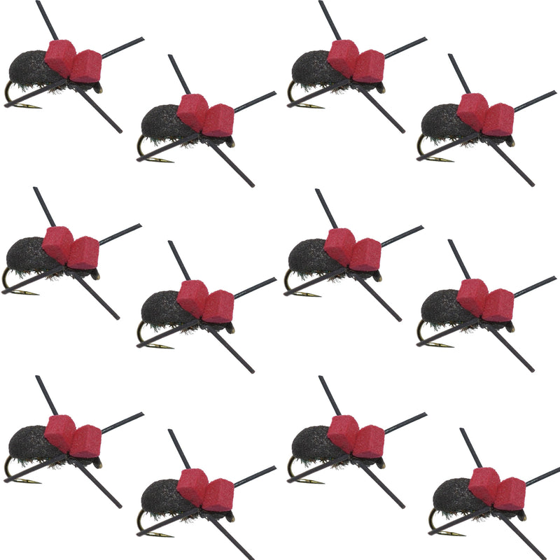 Set of 12 red-top black foam beetle trout dry flies for fishing, size 14, by The Fly Fishing Place, barbless aquatic insect imitation