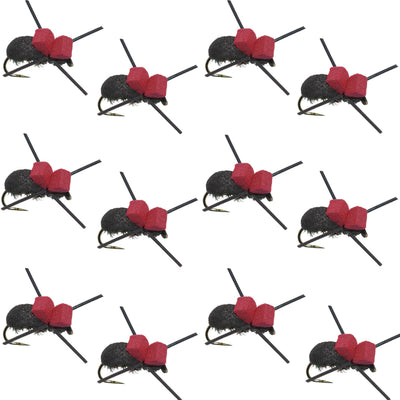 Set of 12 barbless red top black foam beetle trout dry flies for fishing, size 14, by The Fly Fishing Place.