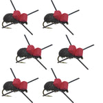 Set of six red-top black foam trout dry flies for fishing, size 14, barbless beetle terrestrial flies for fly fishing.
