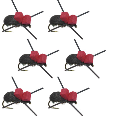 Set of six red-top black foam trout dry flies for fishing, size 14, barbless beetle terrestrial flies for fly fishing.