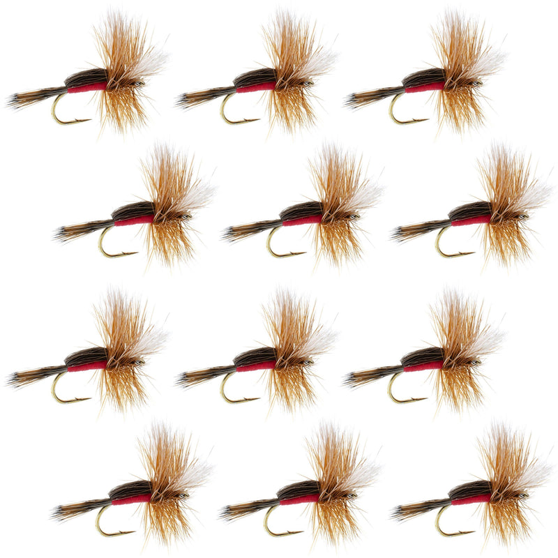 Set of 12 Royal Humpy Classic Hair Wing Dry Flies for trout fishing, size 14, featuring realistic feathered wings and detailed hook.
