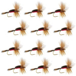 Set of 12 Royal Humpy Classic Hair Wing Dry Flies for trout fishing, size 16, by The Fly Fishing Place.