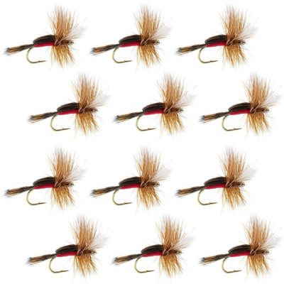 Set of 12 Royal Humpy Classic Hair Wing Dry Flies for trout fishing, size 16, by The Fly Fishing Place.