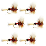 Set of six Royal Wulff Classic Trout Dry Flies for fishing, size 10, featuring realistic fly patterns by The Fly Fishing Place