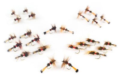 Royal Family Assortment--24 flies #40