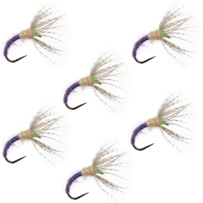 Set of 6 Grave Digger Sakasa Kebari Tenkara flies in size 14, featuring purple nymph designs, by The Fly Fishing Place.