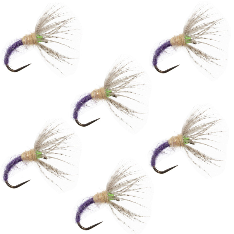 Set of 6 Grave Digger Sakasa Kebari Tenkara flies in size 14, featuring purple nymph designs, by The Fly Fishing Place.