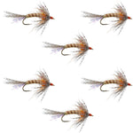 Set of six orange Shakey Bealy Fall Soft Hackle Wet Flies for trout fishing, hook size 10, by The Fly Fishing Place.