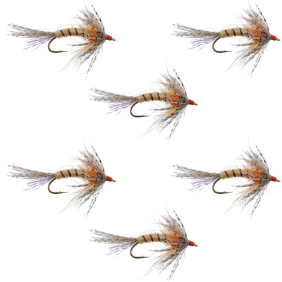 Set of six orange Shakey Bealy Fall Soft Hackle Wet Flies for trout fishing, hook size 10, by The Fly Fishing Place.