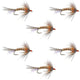 Orange Shakey Bealy Fall Soft Hackle Wet Fly - 6 Flies Hook Size 10