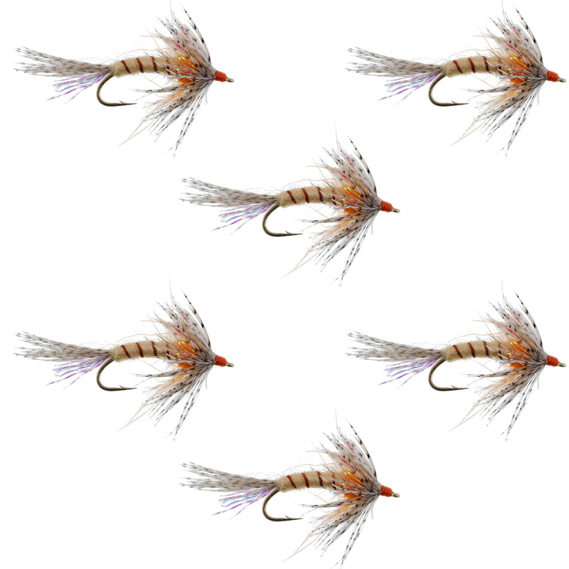 Set of six orange Shakey Bealy Fall Soft Hackle Wet Flies for trout fishing, hook size 10, by The Fly Fishing Place.